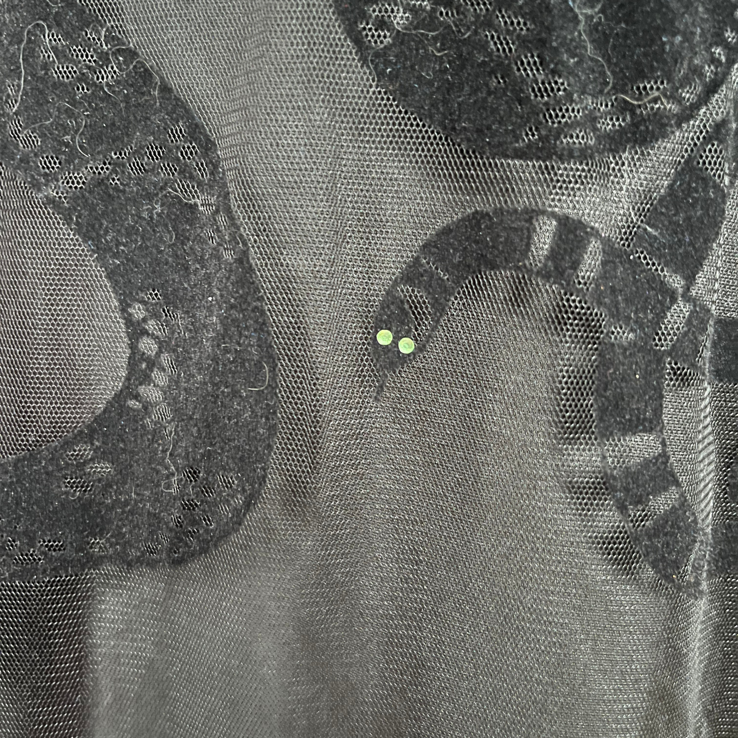 Black flocked snakes on sheer fabric with green rhinestone eyes